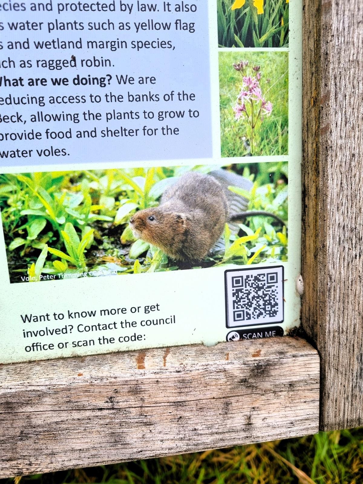 info board QR code