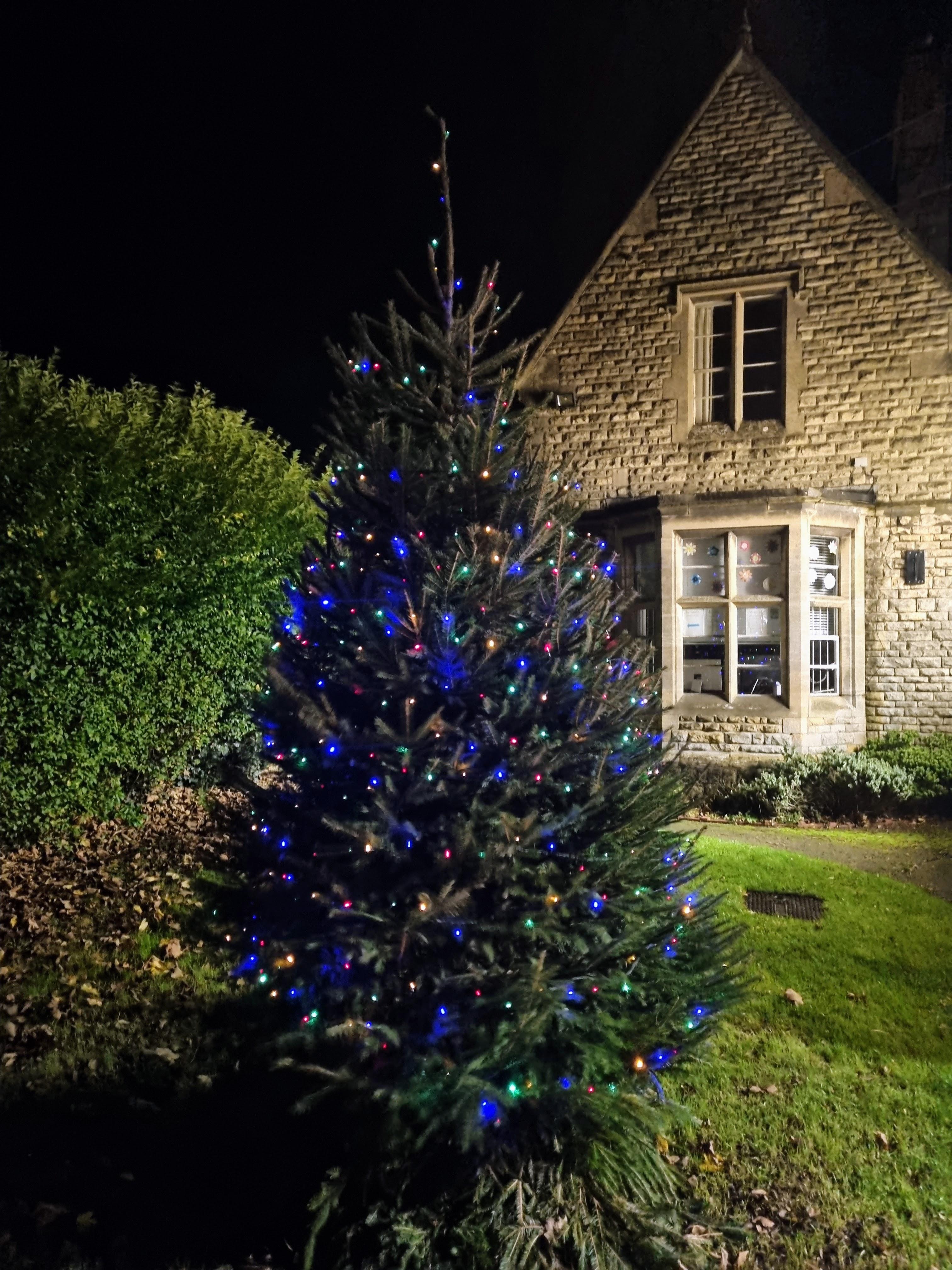 winchelsea centre christmas tree