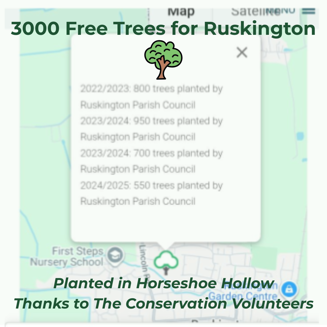 3000 Free trees for ruskington graphic