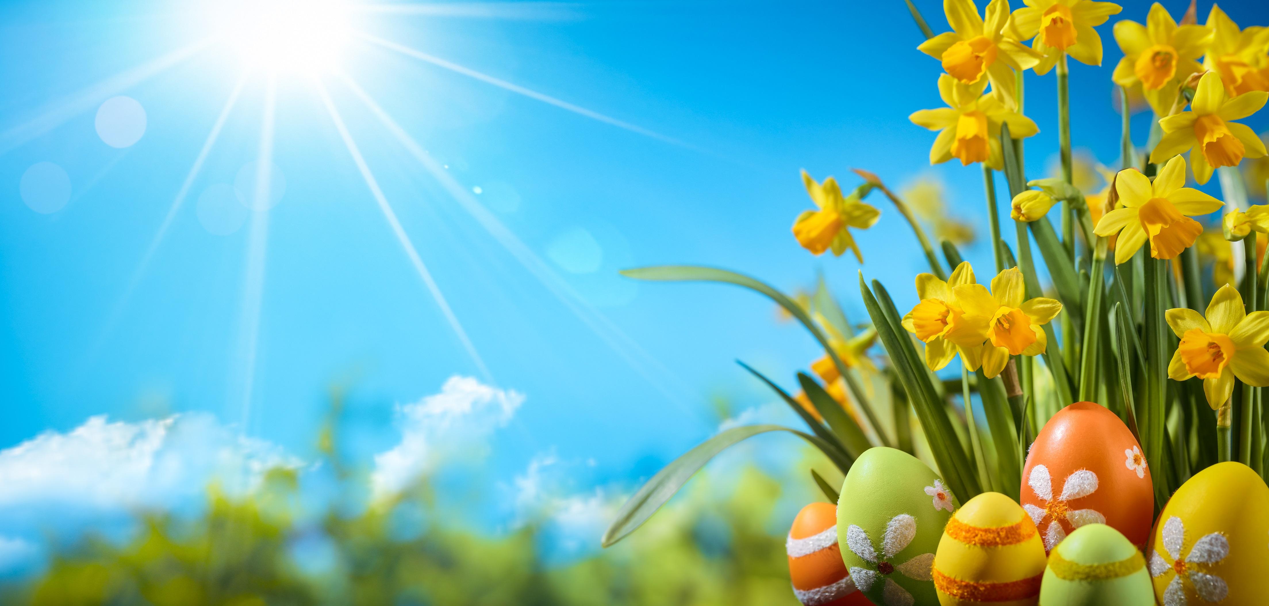 easter homepage banner
