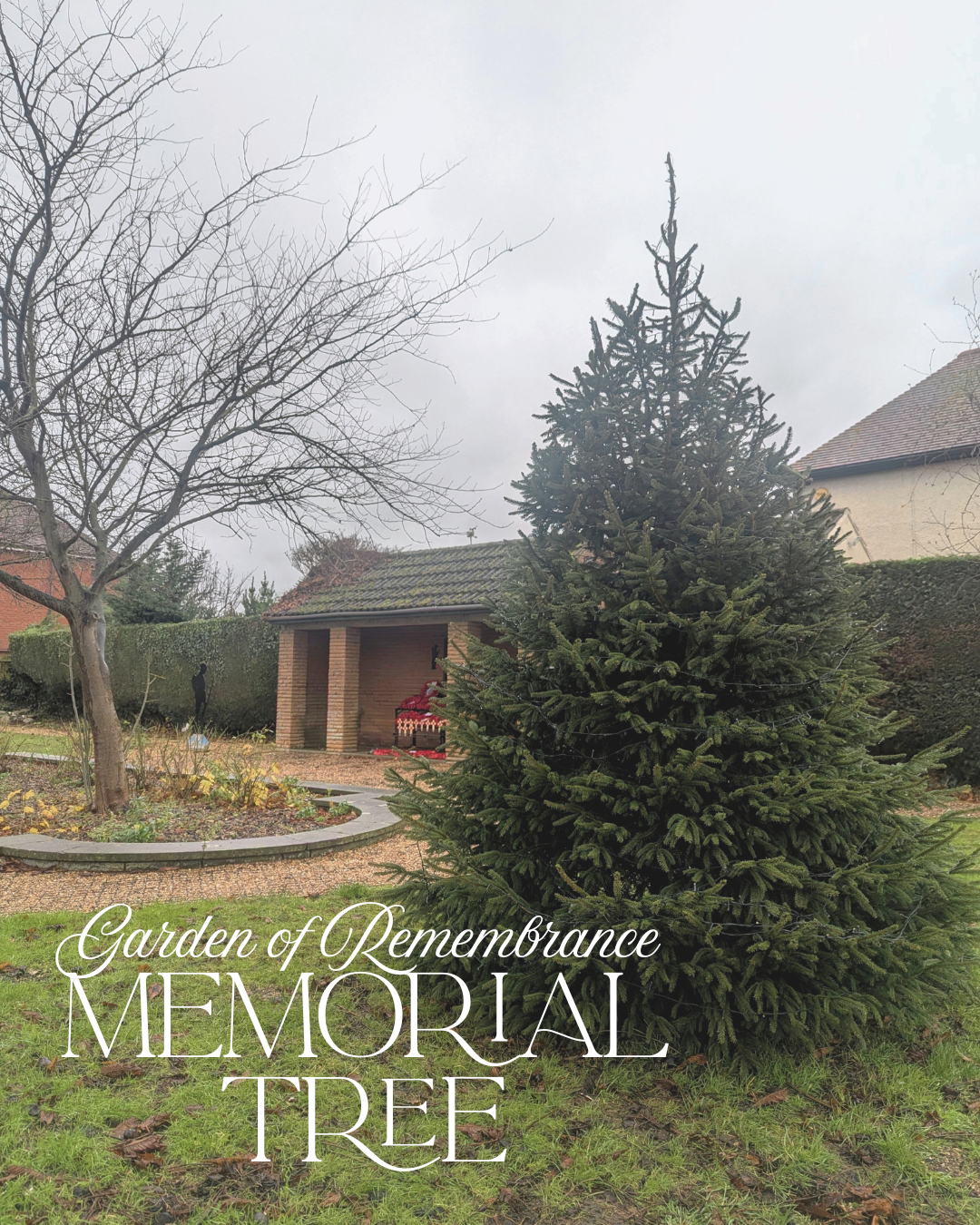 Gor memorial tree sm graphic