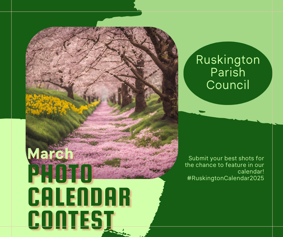 March photo competition graphic