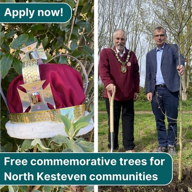 1. Two images of individuals standing by trees, accompanied by text promoting free commemorative trees for North Kesteven communities.