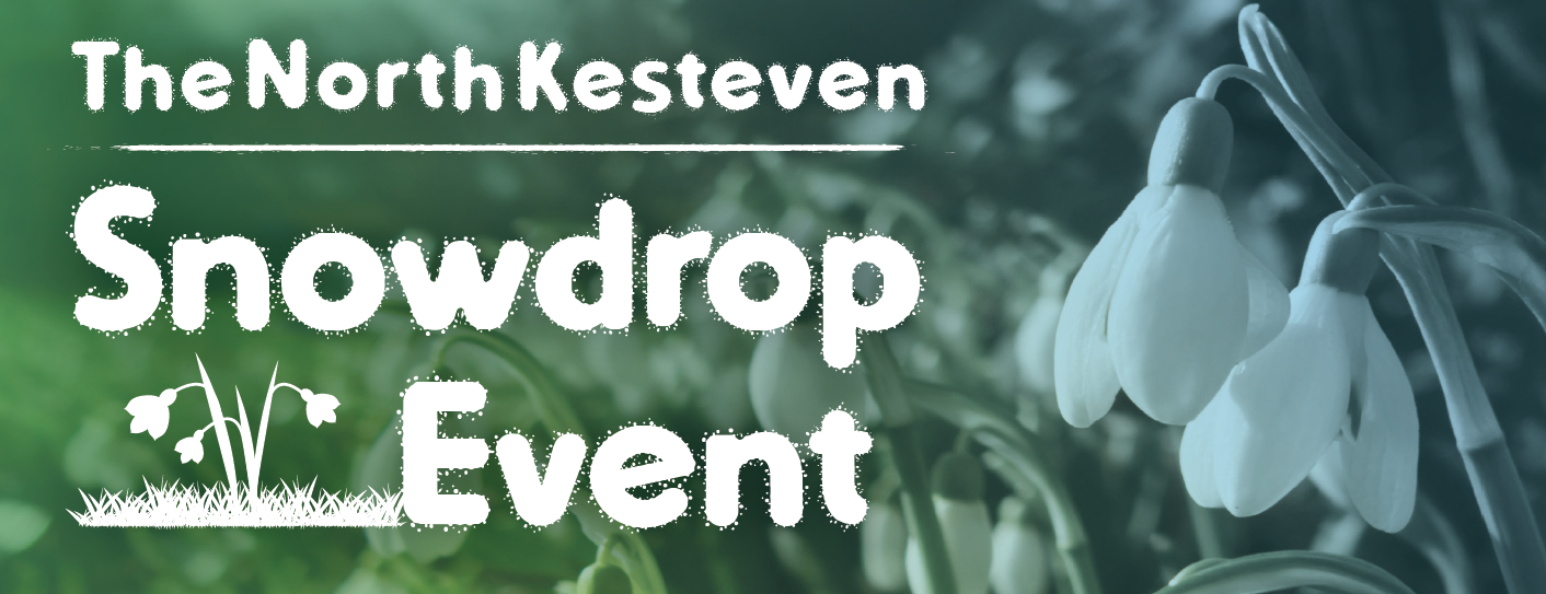 Snowdrop event header