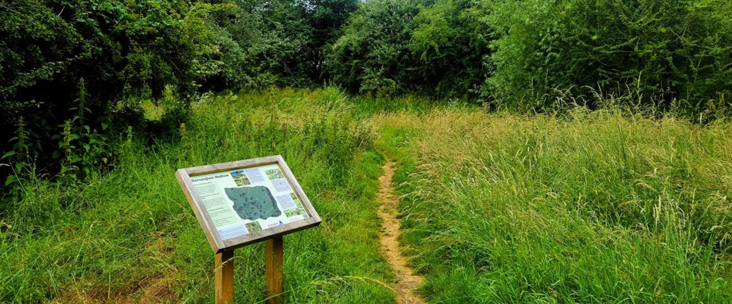 A signpost stands on a path, surrounded by a vast field under a clear sky, guiding travelers through the landscape.